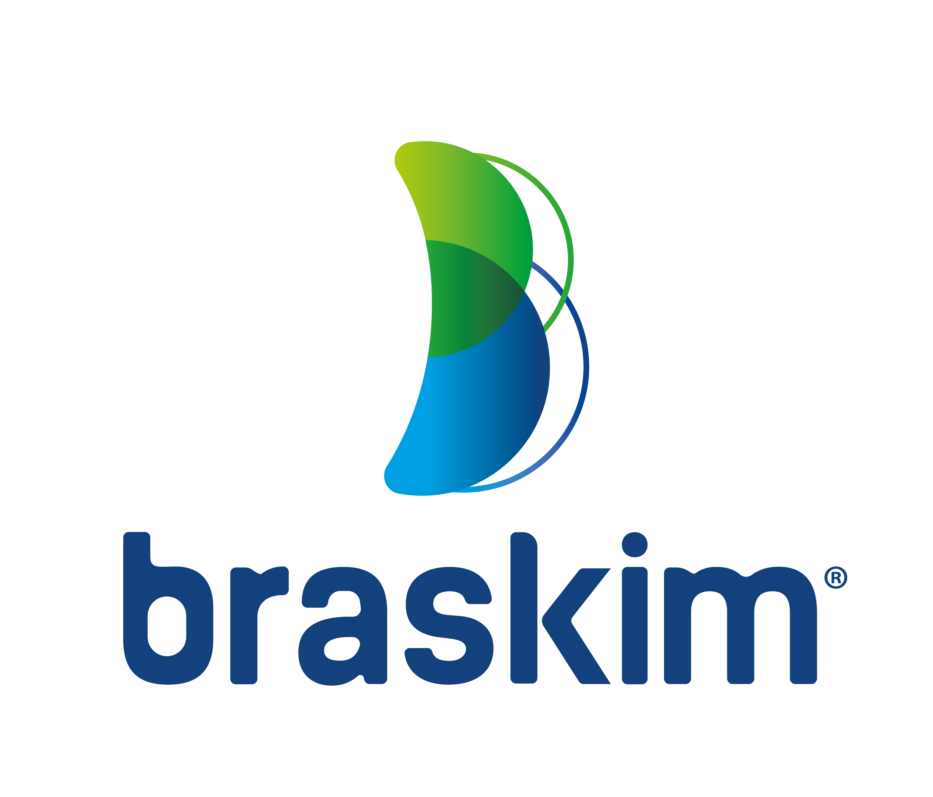 Logo Braskim Química