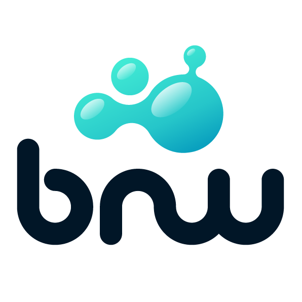 Logo Bueno Networks