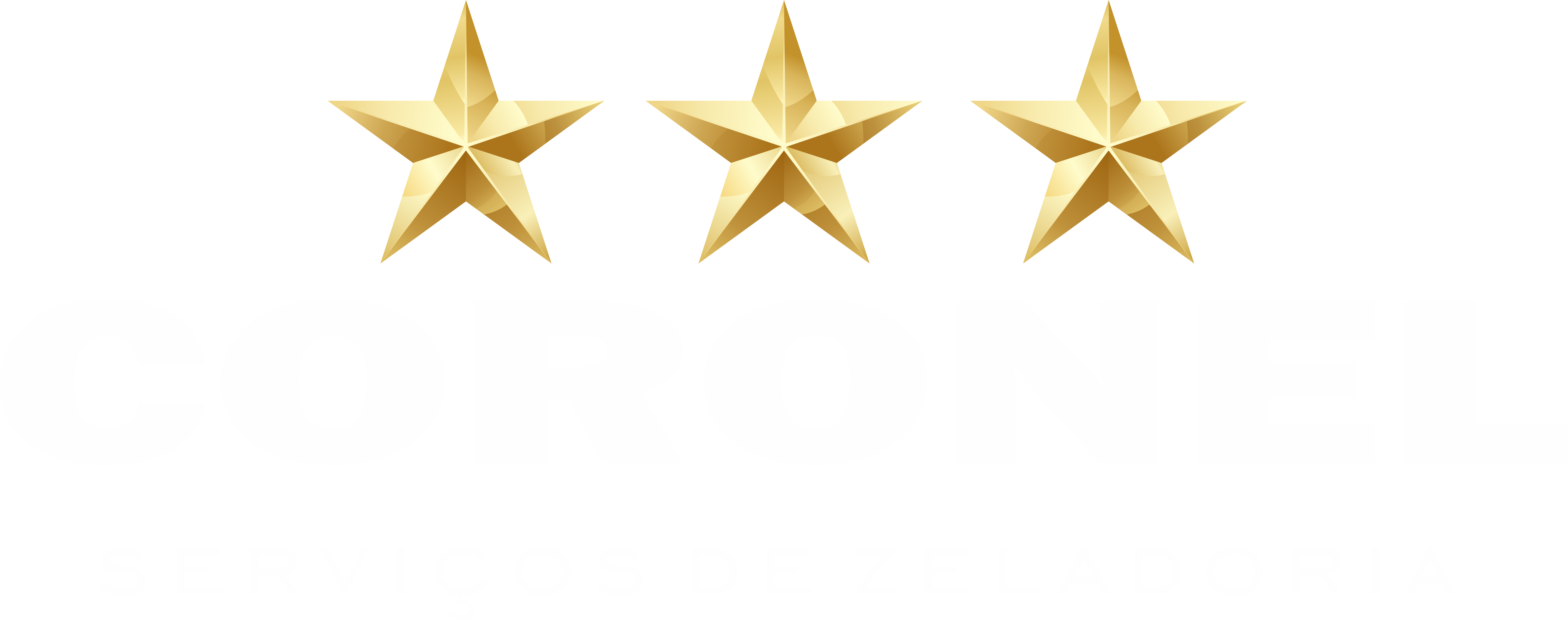Logo CORONEL SEGURANÇA ELETRONICA 
