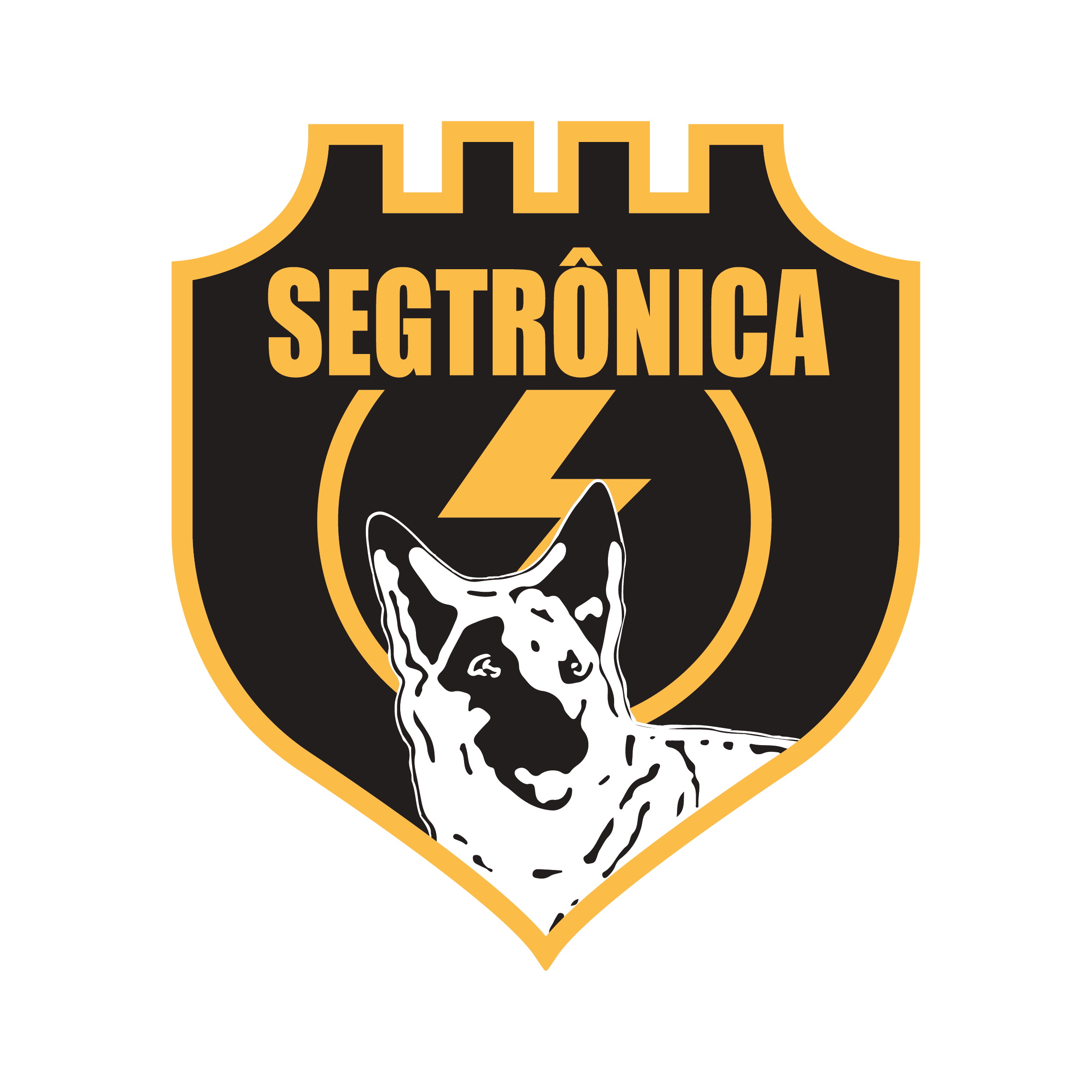 Logo Maxxseg