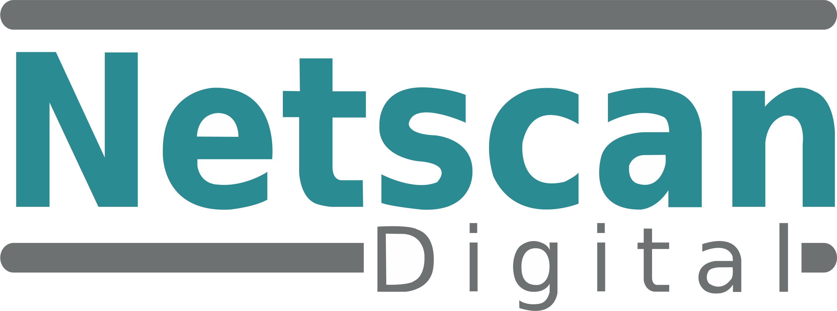 Logo Netscan Digital Ltda