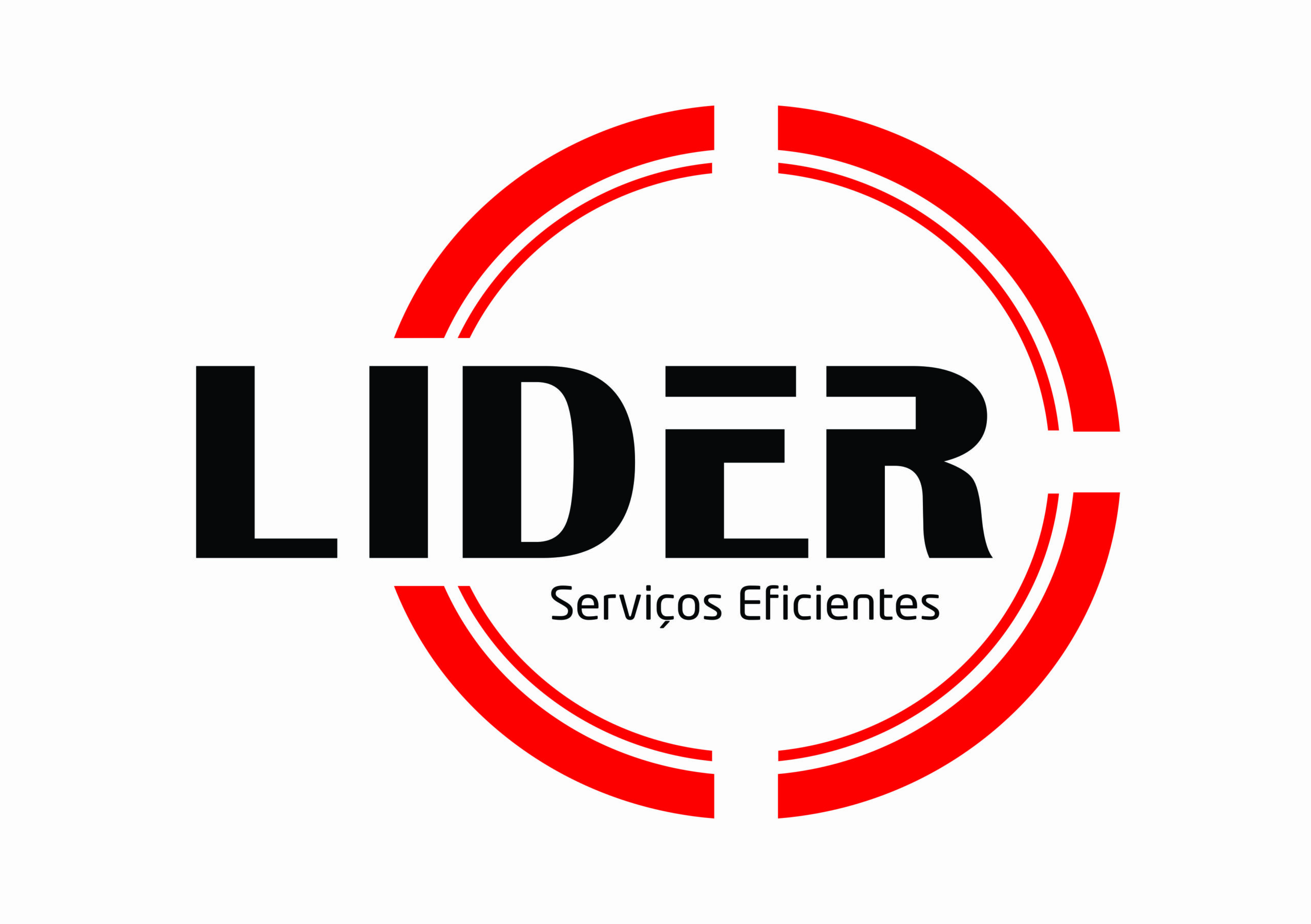Logo LIDER / TNP
