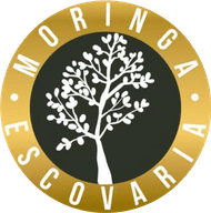 Logo MORINGA ESCOVARIA