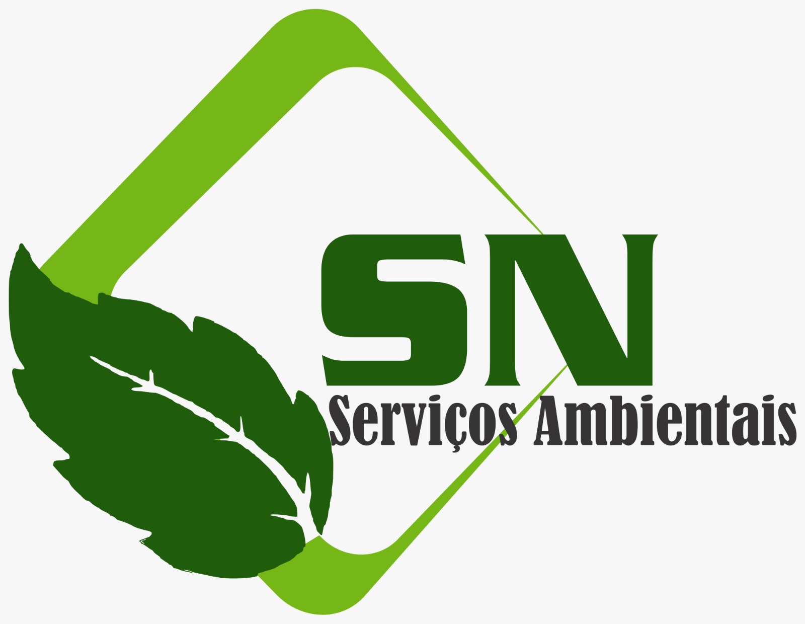 Logo SN 