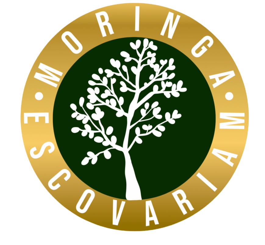 Logo Moringa Escovaria