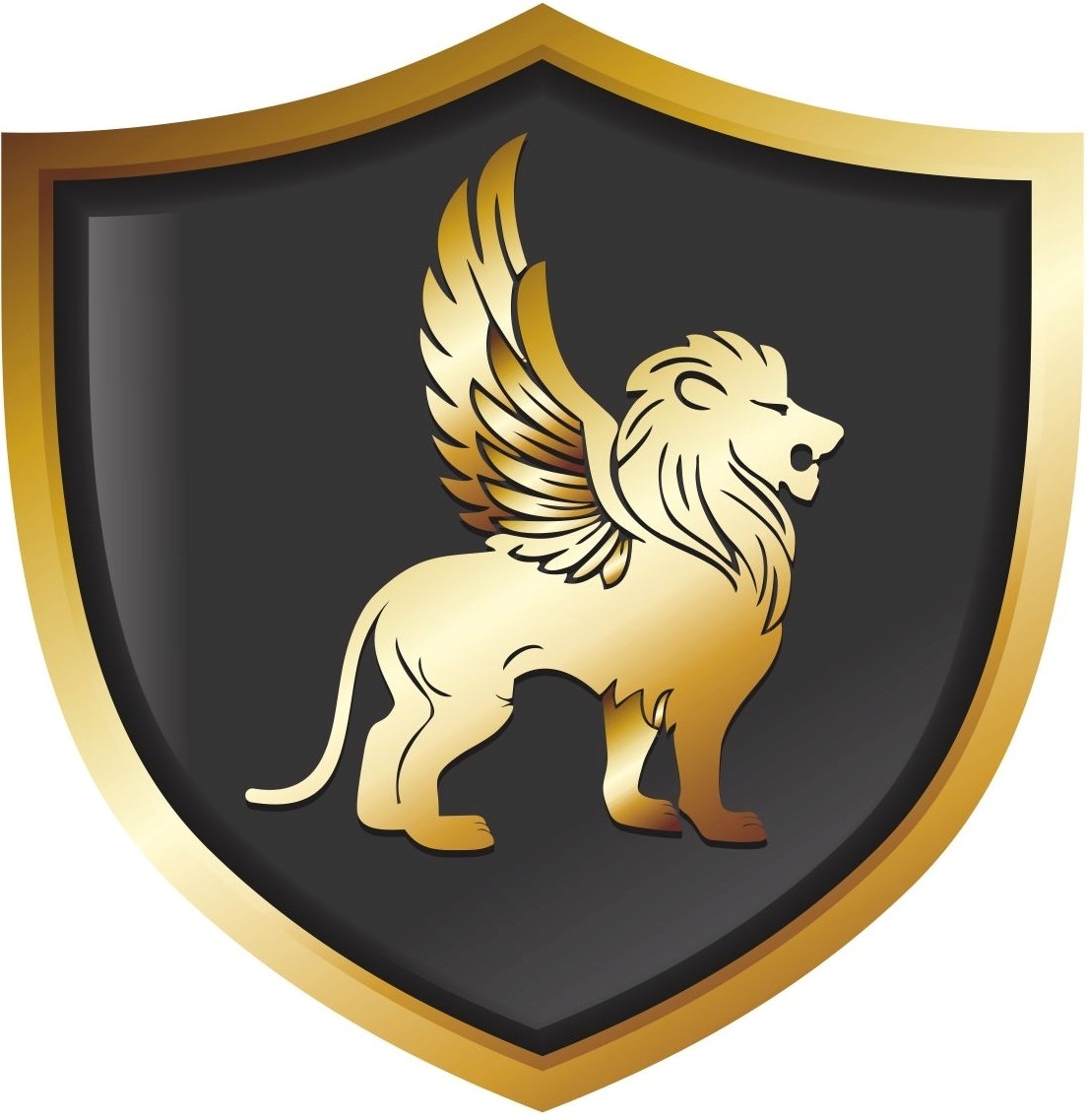 Logo GRUPO MAXIMUS