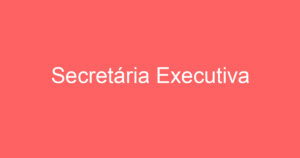 Secretária Executiva 2