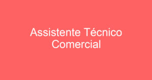 Assistente Técnico Comercial 6