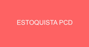ESTOQUISTA PCD 13