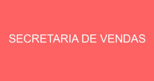 SECRETARIA DE VENDAS-VENDAS ONLINE 8