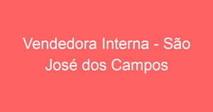 Vendedora Interna - São José dos Campos 13