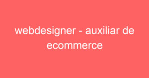 webdesigner - auxiliar de ecommerce 8
