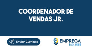 COORDENADOR DE VENDAS JR.-São José dos Campos - SP 10