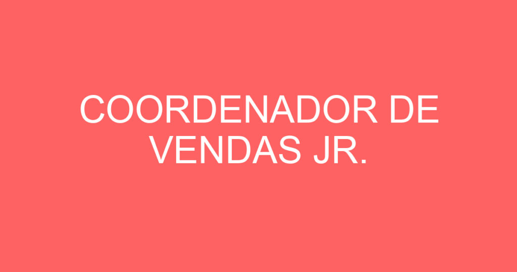 COORDENADOR DE VENDAS JR. 1