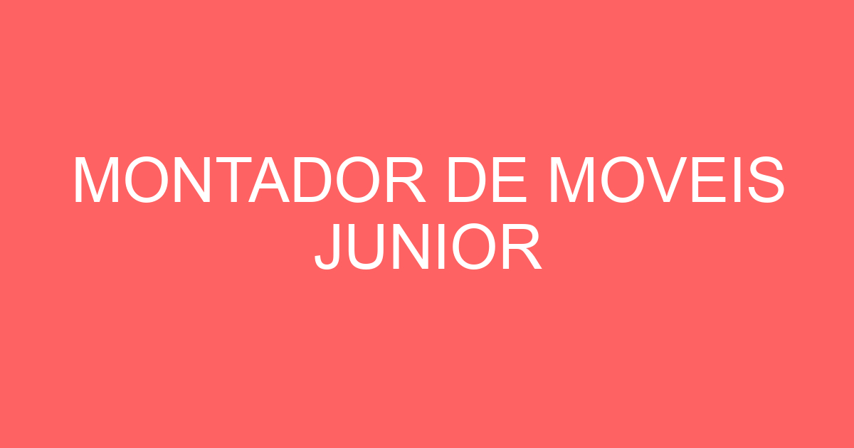 MONTADOR DE MOVEIS JUNIOR 289