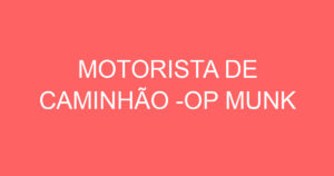 MOTORISTA DE CAMINHÃO -OP MUNK 3