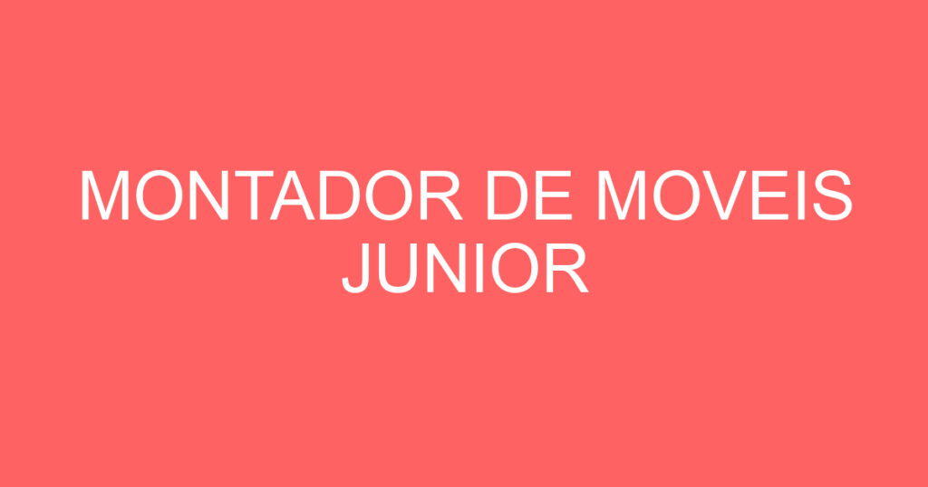 MONTADOR DE MOVEIS JUNIOR 1