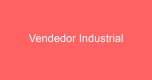 Vendedor Industrial 10