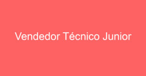 Vendedor Técnico Junior 5