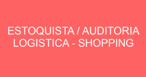 ESTOQUISTA / AUDITORIA LOGISTICA - SHOPPING 11