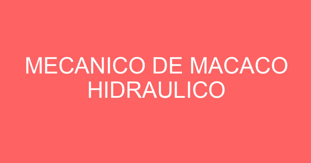 MECANICO DE MACACO HIDRAULICO 1