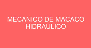 MECANICO DE MACACO HIDRAULICO 8