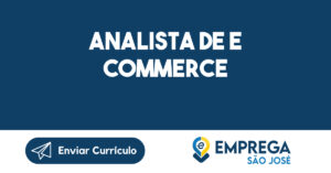 Analista de E Commerce-São José dos Campos - SP 8