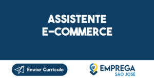 Assistente E-commerce-São José dos Campos - SP 15