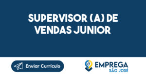 Supervisor (a) de Vendas Junior-Caçapava - SP 13