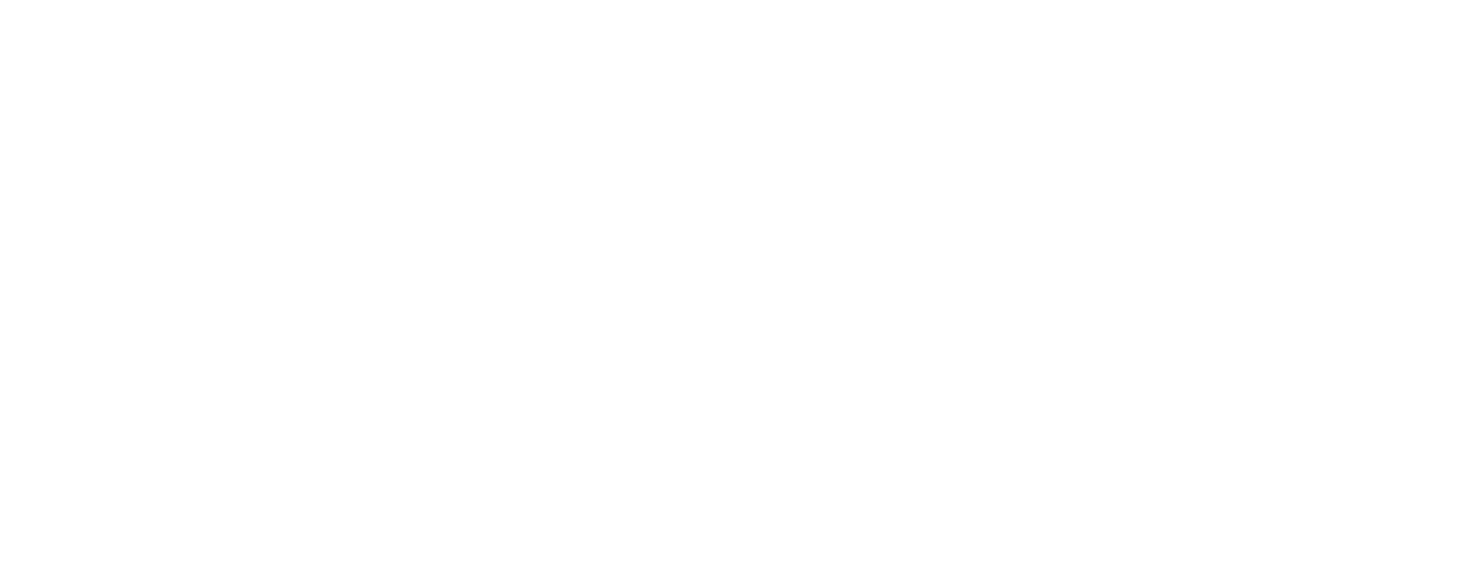 Logo Salvador Logística