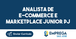 Analista De E-Commerce e Marketplace Junior PJ-São José dos Campos - SP 10