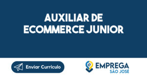 Auxiliar de Ecommerce Junior-Jacarei - SP 8
