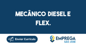 mecânico diesel e flex.-São José dos Campos - SP 13