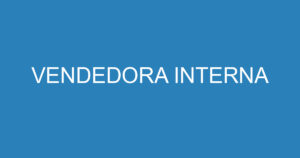 VENDEDORA INTERNA 6