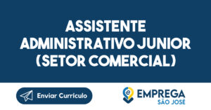 Assistente Administrativo Junior (Setor Comercial) 8