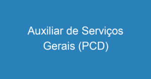 Auxiliar de Serviços Gerais (PCD) 12