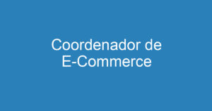 Coordenador de E-Commerce 4