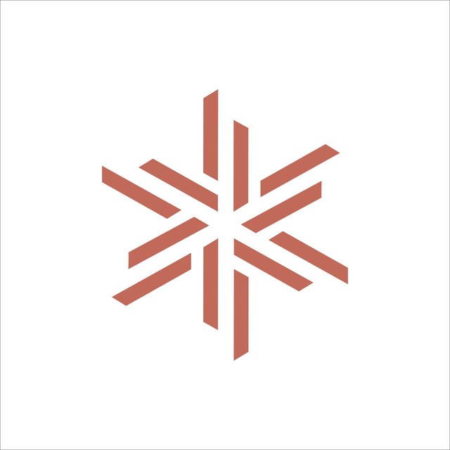 Logo Vertex Brands