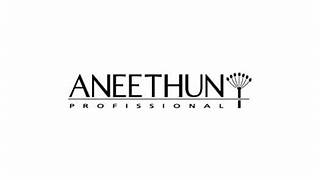 Logo Aneethun Franquia São José dos Campos
