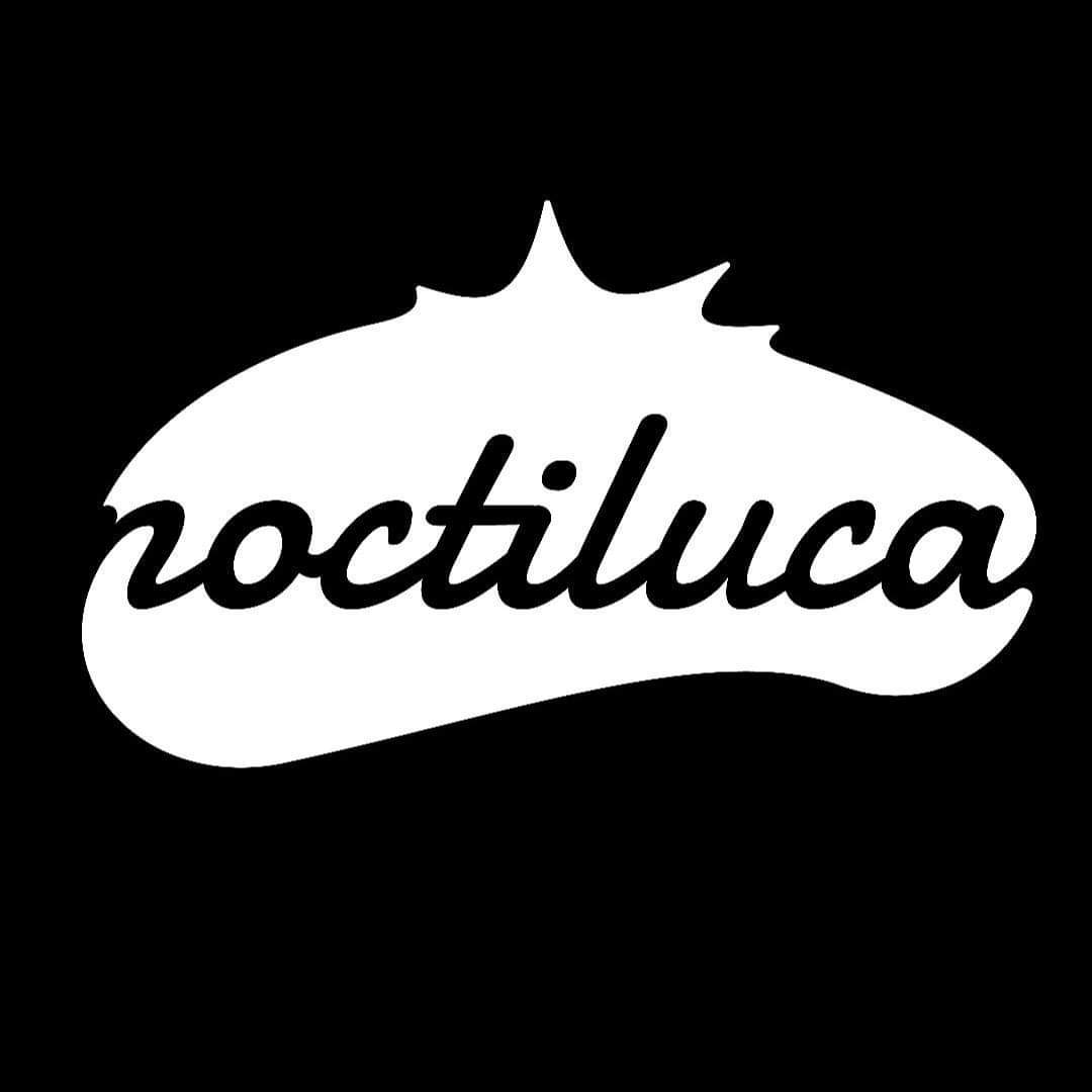 Logo Academia Noctiluca 