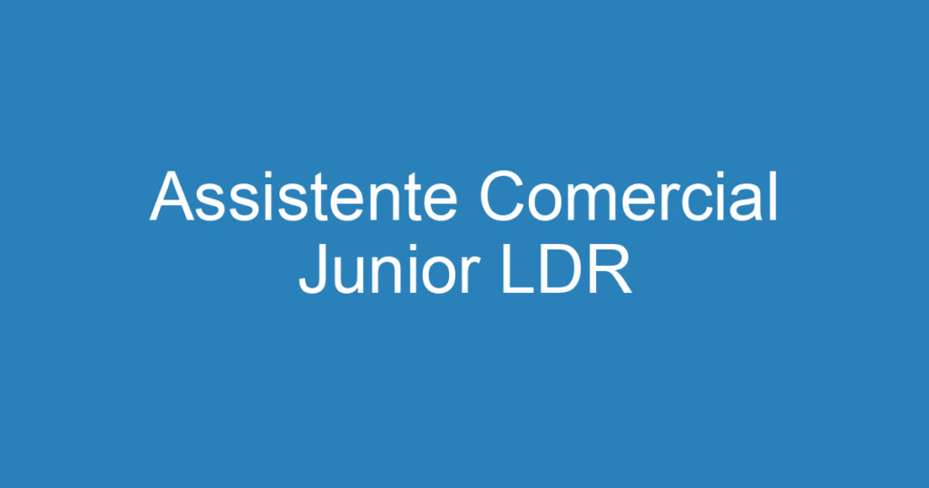 Assistente Comercial Junior LDR 1 Assistente Comercial Junior LDR 1