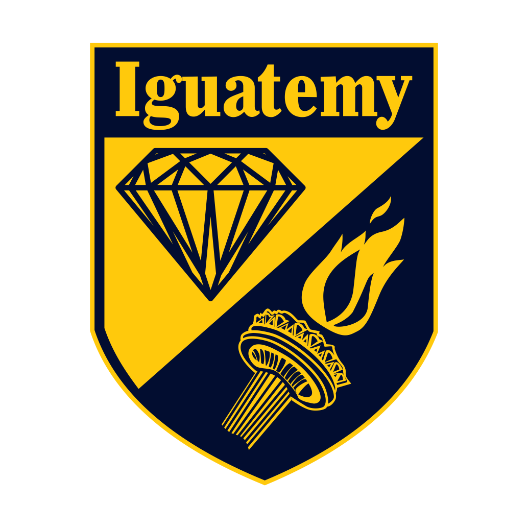 Logo NI