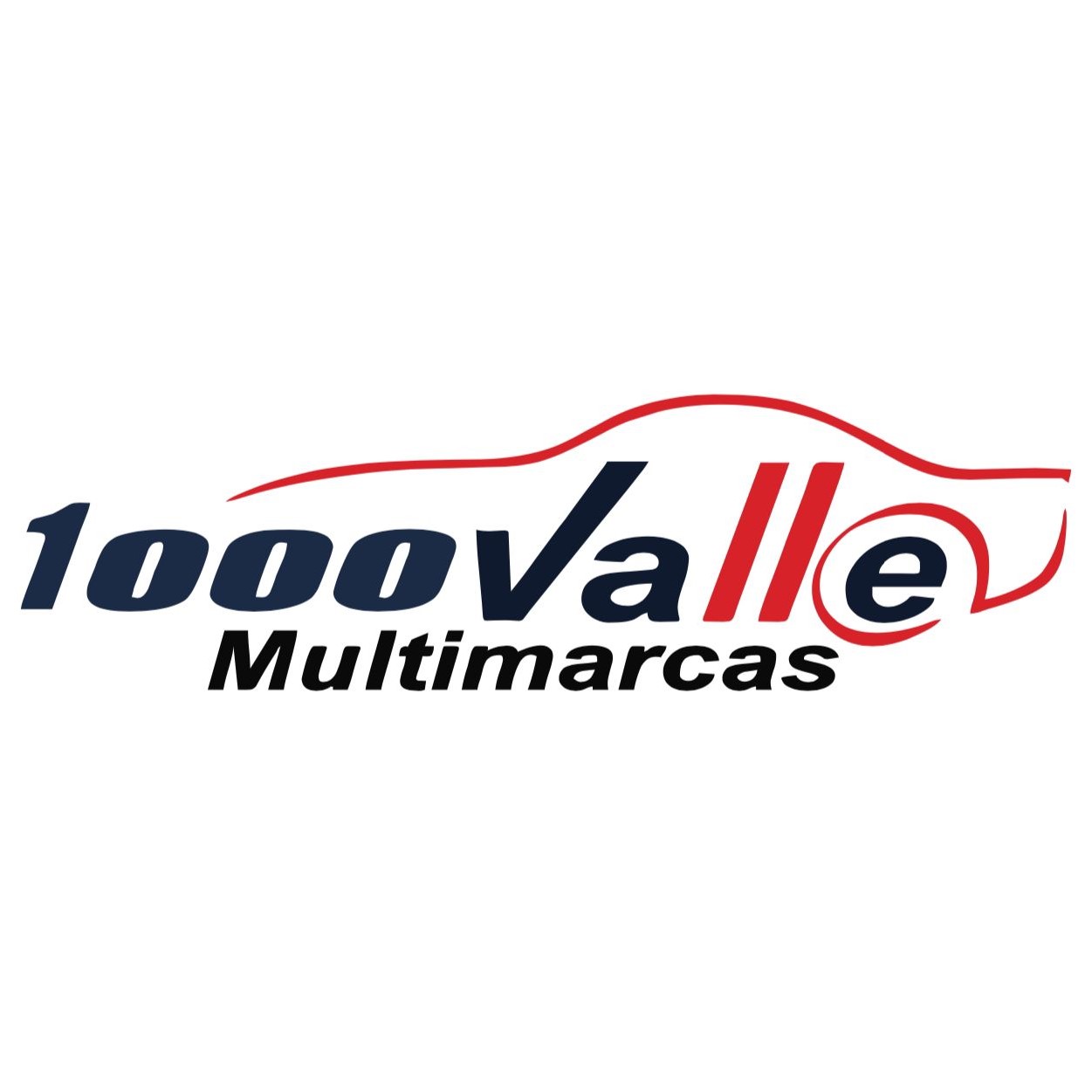 Logo 1000 Valle Multimarcas