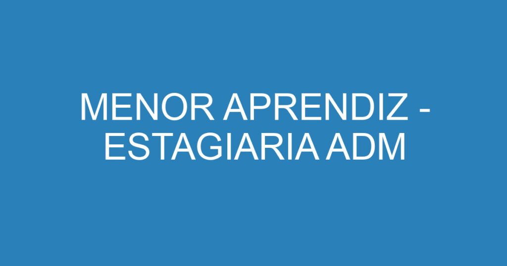 MENOR APRENDIZ - ESTAGIARIA ADM 1 MENOR APRENDIZ - ESTAGIARIA ADM 1