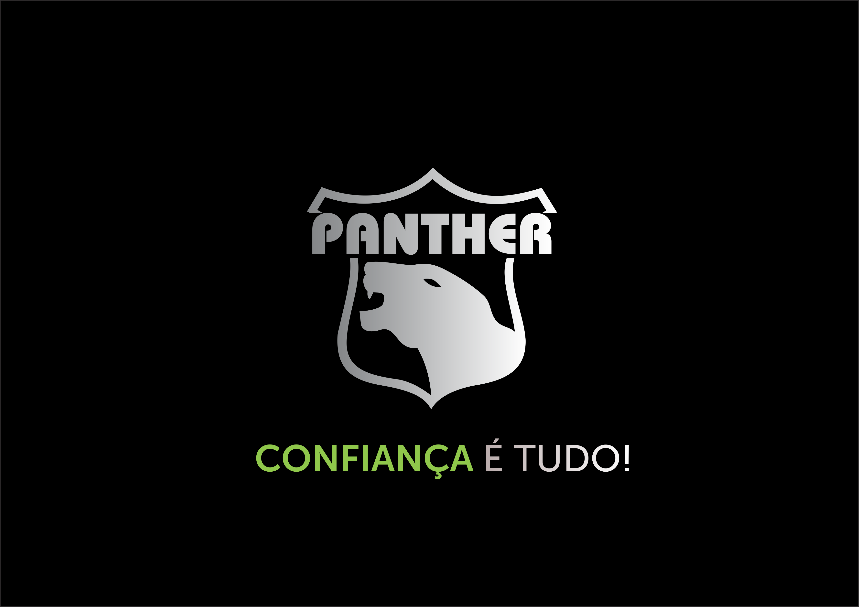 Logo Panther Segurança e Monitoramento