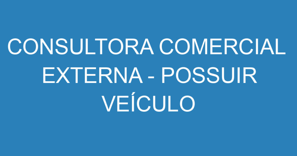 CONSULTORA COMERCIAL EXTERNA - POSSUIR VEÍCULO 1 CONSULTORA COMERCIAL EXTERNA - POSSUIR VEÍCULO 1
