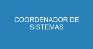 COORDENADOR DE SISTEMAS 12