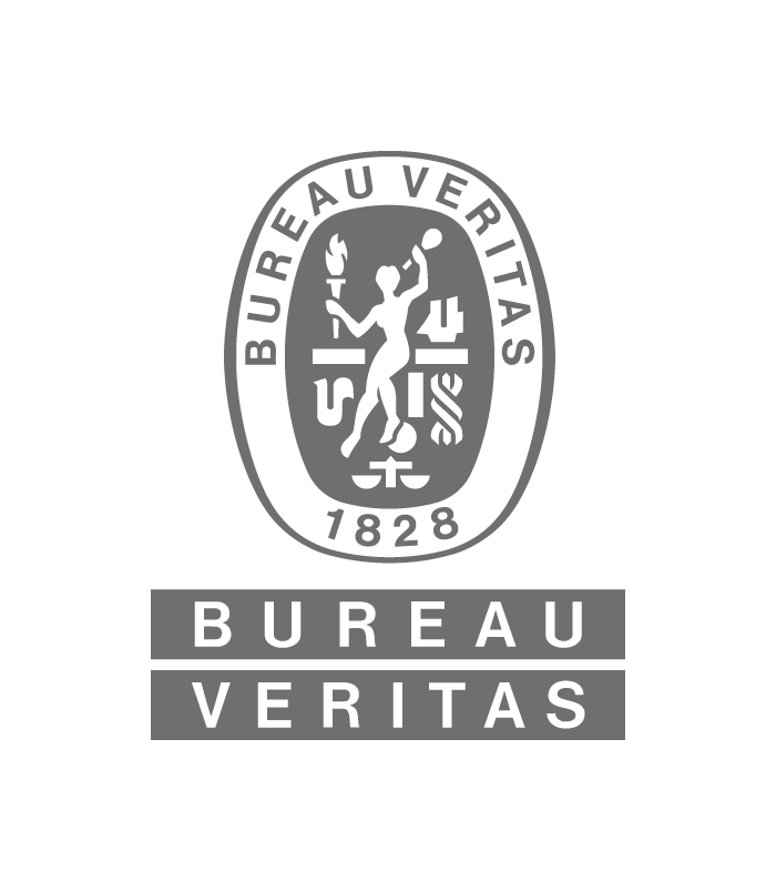 Logo Bureau Veritas