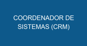 COORDENADOR DE SISTEMAS (CRM) 6