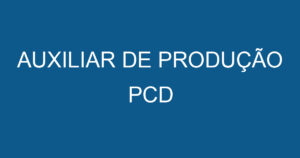 AUXILIAR DE PRODUÇÃO PCD 8